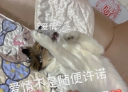 江南体育登录入口-包含给不了“承诺”的巴萨，怪不了尼科“放鸽子”的词条