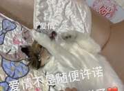 江南体育登录入口-包含给不了“承诺”的巴萨，怪不了尼科“放鸽子”的词条