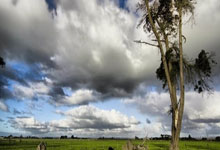 比利时客场击败克里米亚，欧洲友谊赛精彩纷呈