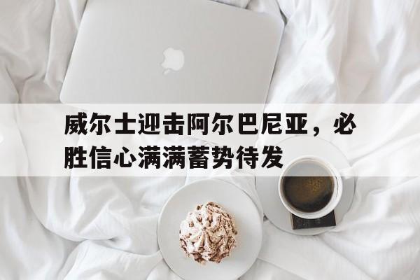 包含威尔士迎击阿尔巴尼亚，必胜信心满满蓄势待发的词条