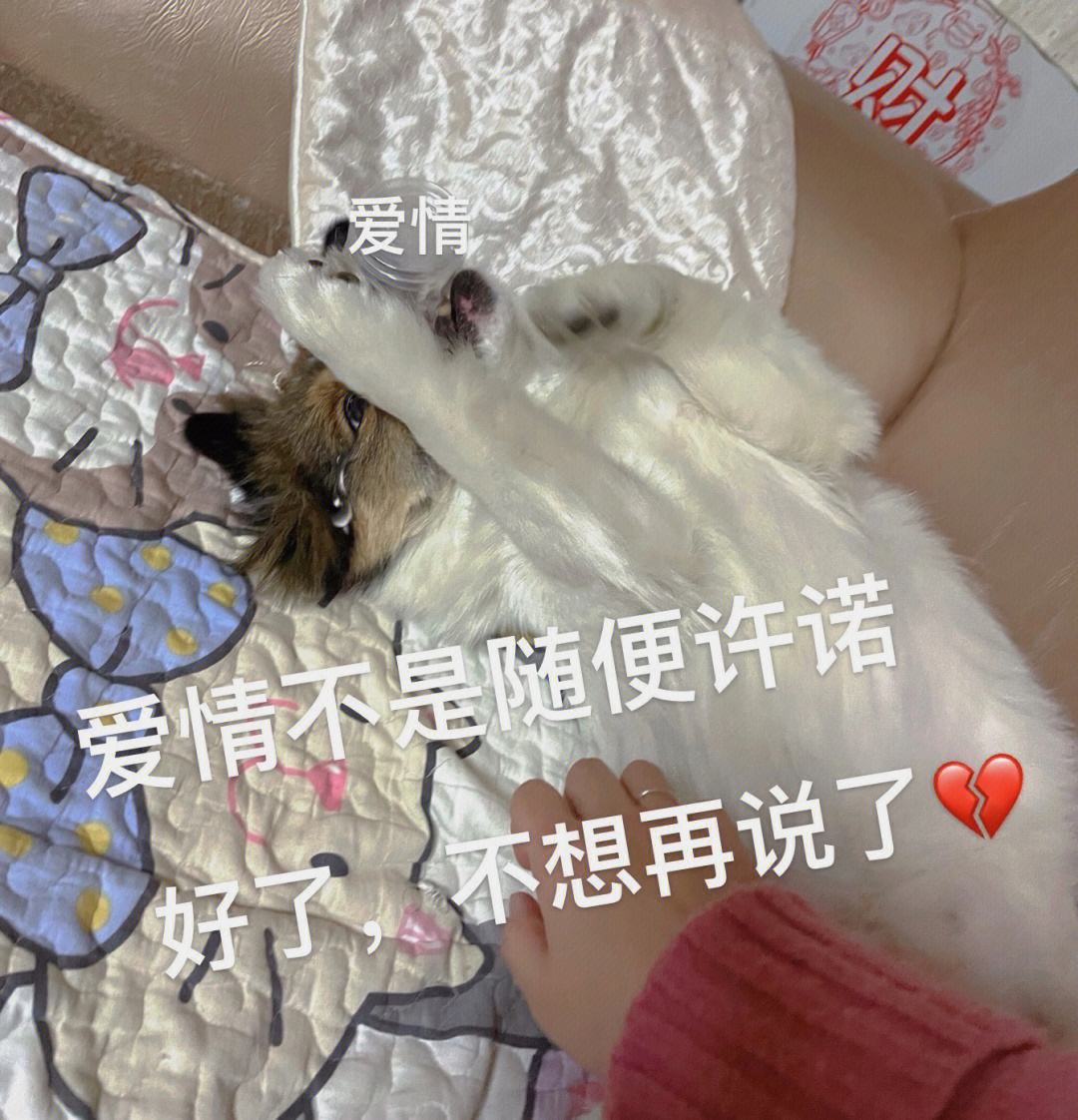 包含给不了“承诺”的巴萨，怪不了尼科“放鸽子”的词条