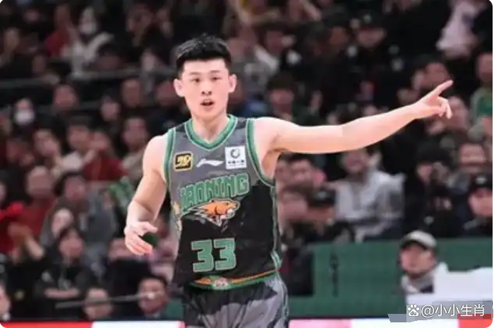关于王岚嵚13分5篮板4助攻，辽宁大胜福建的信息